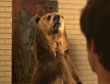 Oso