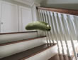 Pepino