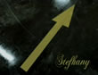 stefhanytrocoudecarro.com.br