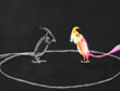 Pajarito