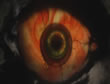 Apertura General El Ojo 2009