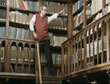 Bibliotecario