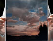 Canon 360
