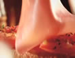 Jamón Cocido