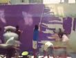 Dulux Walls