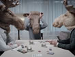 Alces