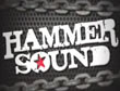 Resumen - Hammer Sound