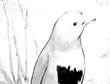 Pajarito