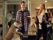 Dog Sitter