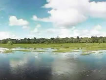 Amazonia
