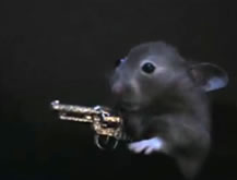 Viral - Hamster