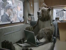 The Bear