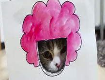 Gatitos
