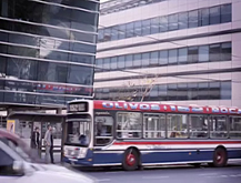 Colectivo