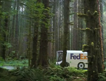 Enchanted Forest