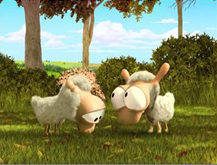 Sheep