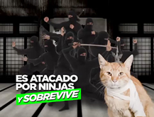 7 Vidas