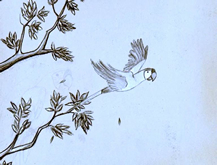 Pajaros twitter