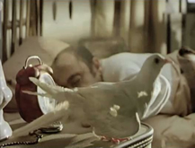 Palomas