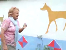 Calle Amorcito - Amor por los Animales