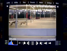 Making of Galgos