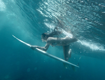 Back to Water