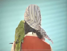 Nuevo Pirata