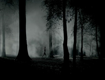Bosque