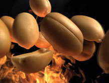 Golden Nuts Demo Línea