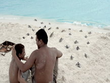 Tortugas