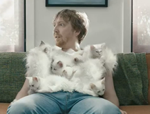 Kittens