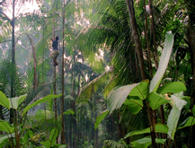 Somos Produto da Natura