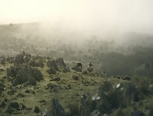Caballos Salvajes