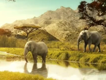 Elefante