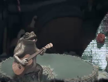 Rana Cantante