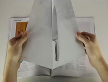 The Page 67.5