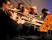 Bellies in Concert