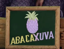 The Fruit Mashup