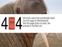 404 Animals Not Found