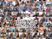 Caso Unique Breeds