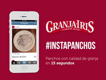 Instapanchos