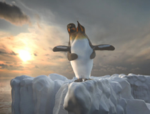 Pingüinos