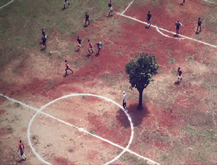 No Meio do Campo Tinha uma Árvore