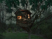Casa Árbol