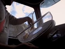The Hamster Stunt