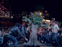 Árbol
