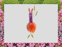Liatrix
