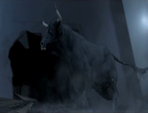 Toro