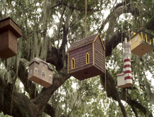 Behind the Scenes – New Orleans