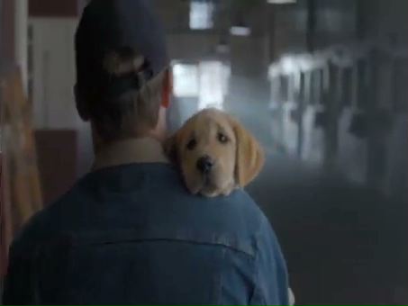 Puppy Love